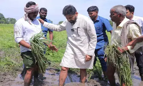 మొంథా తుఫాన్ ప్రభావిత ప్రాంతాల్లో ఉప ముఖ్యమంత్రి పవన్ కల్యాణ్ పర్యటన