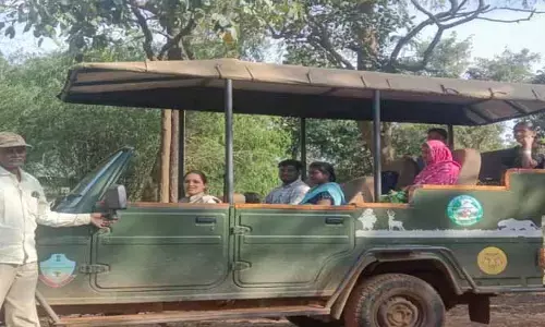 పురిటి నొప్పుల‌తో బాధ‌ప‌డుతున్న అప్పాపూర్ పెంట మ‌హిళ.. మాన‌వ‌త్వం చాటుకున్న అట‌వీ శాఖ సిబ్బంది