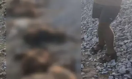 గూడ్స్ కింద న‌లిగి 18 గొర్రెలు మృతి