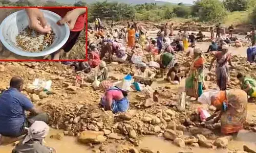 నల్లమల్లలో మళ్లీ వేట షురూ.. గుంపులుగా మహిళలు, యువకులు, వృద్ధులు
