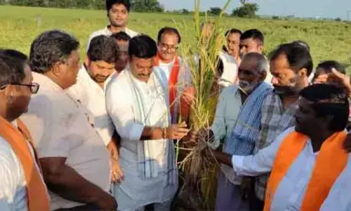 నష్టపరిహారం అందేలా చర్యలు తీసుకుంటాం