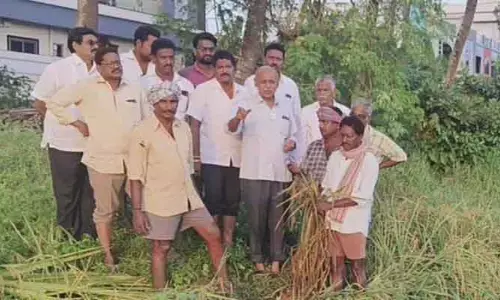 ప్రభుత్వం నష్ట నివారణ చర్యలను చేపట్టాలి
