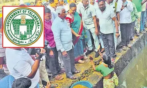 మహిళా రైతు తారవ్వను ఆదుకున్న రేవంత్ సర్కార్..