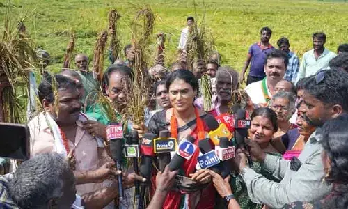 ఎక్కడ చూసినా బీభత్సం.. తుపాను నష్టంపై వైఎస్ షర్మిల తీవ్ర ఆవేదన