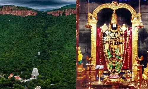 తిరుమలలో పెరిగిన భక్తుల రద్దీ.. శ్రీవారి దర్శనానికి సమయం ఎంతంటే?
