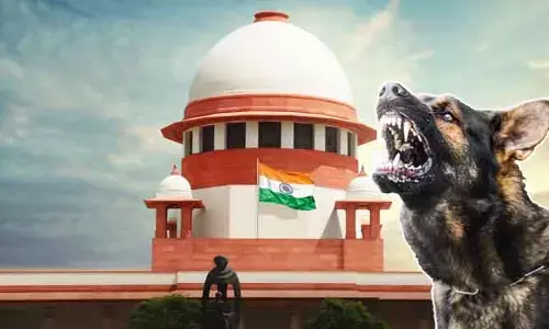 వీధి కుక్కల కేసు విచారణ.. తదుపరి ఆదేశాలపై ‘సుప్రీం’ కీలక ప్రకటన