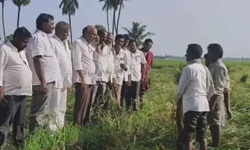 ప్రభుత్వం వెంటనే నష్టపరిహారం చెల్లించాలి : మాజీ ఎమ్మెల్యే