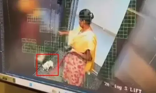Viral: అసలు మనిషివేనా..? లిఫ్ట్‌లో కుక్కపిల్లను కొట్టి చంపిన పని మనిషి.. వీడియో వైరల్