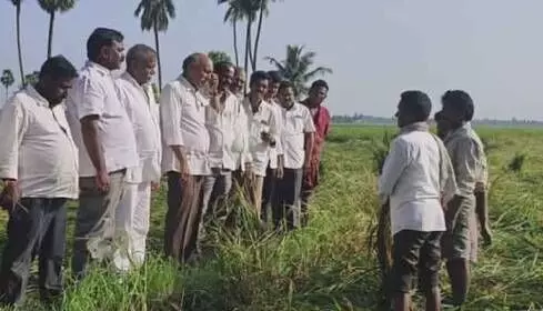 ప్రభుత్వం వెంటనే నష్టపరిహారం చెల్లించాలి : మాజీ ఎమ్మెల్యే ప్రభుత్వం వెంటనే నష్టపరిహారం చెల్లించాలి : మాజీ ఎమ్మెల్యే