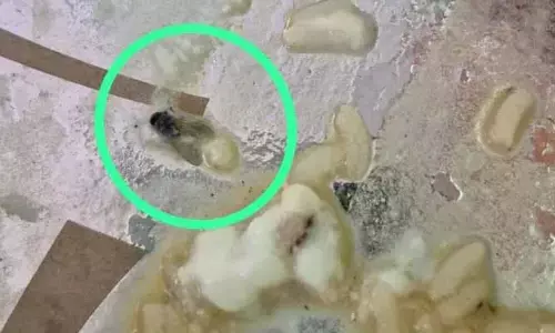కలెక్టరేట్ ఎదురుగా హోటల్‌లో కలుషిత భోజనం
