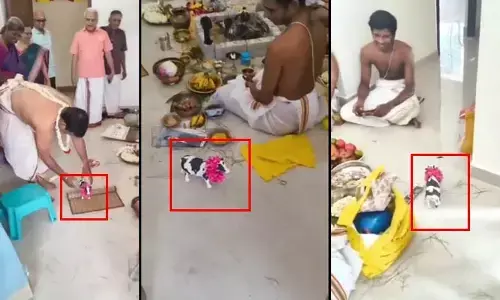 టెక్నాలజీ యుగం ఎఫెక్ట్.. గృహప్రవేశంలో నిజమైన ఆవు బదులు బొమ్మ ఆవు! వీడియో వైరల్