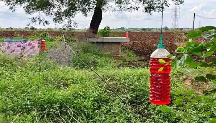ఎర్ర నీళ్లతో వాటికి చెక్.. వింత ఆలోచన చేసిన జల్లాపురం రైతులు...! ఎర్ర నీళ్లతో వాటికి చెక్.. వింత ఆలోచన చేసిన జల్లాపురం రైతులు...!