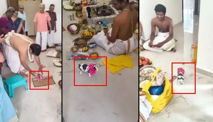 టెక్నాలజీ యుగం ఎఫెక్ట్.. గృహప్రవేశంలో నిజమైన ఆవు బదులు బొమ్మ ఆవు! వీడియో వైరల్ టెక్నాలజీ యుగం ఎఫెక్ట్.. గృహప్రవేశంలో నిజమైన ఆవు బదులు బొమ్మ ఆవు! వీడియో వైరల్
