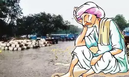 సిండికేట్‌కు పత్తి రైతులు కుదేలు