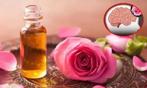 గులాబీ వాసనతో మెదడు పనితీరులో మార్పు! 30 రోజులు దుస్తులపై రాస్తే.. పెరుగుతున్న గ్రే మ్యాటర్ !