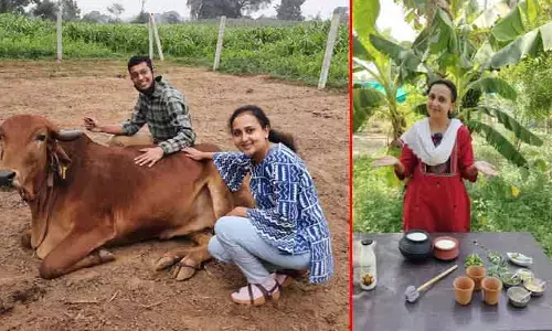 ఐటీ ఉద్యోగం వదిలి ఆవుల్ని పెంచారు.. కట్ చేస్తే.. రూ. 2 కోట్ల టర్నోవర్..!