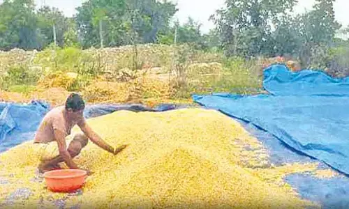 అదనపు సోయ కొనుగోలు కేంద్రాలు మంజూరు..!