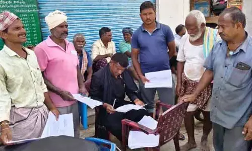 మార్కెట్ యార్డ్ లో ఎట్టకేలకు మొక్కలు కొనుగోలు షురూ