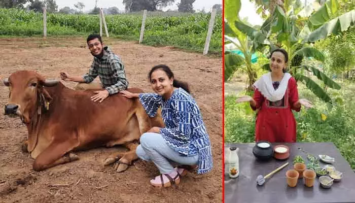 ఐటీ ఉద్యోగం వదిలి ఆవుల్ని పెంచారు.. కట్ చేస్తే.. రూ. 2 కోట్ల టర్నోవర్..! ఐటీ ఉద్యోగం వదిలి ఆవుల్ని పెంచారు.. కట్ చేస్తే.. రూ. 2 కోట్ల టర్నోవర్..!