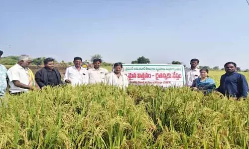 రైతు విజ‌యానికి తొలిమెట్టు విత్త‌న‌మే: శాస్త్ర‌వేత్త క‌ళ్యాణి