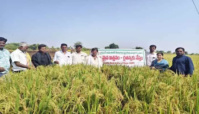 రైతు విజయానికి తొలిమెట్టు విత్తనమే: శాస్త్రవేత్త కళ్యాణి రైతు విజయానికి తొలిమెట్టు విత్తనమే: శాస్త్రవేత్త కళ్యాణి
