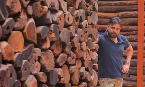 ఒక్క ఎర్రచందనం దుంగ కూడా మిస్ అవ్వొద్దు: పవన్ కల్యాణ్ ఆదేశం