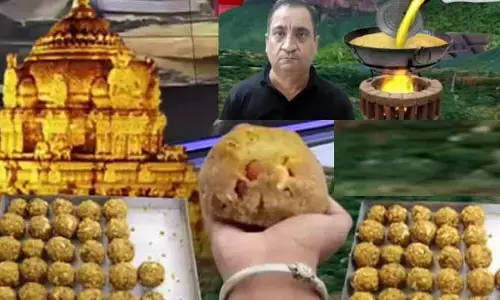Breaking: శ్రీవారి లడ్డూ కల్తీ ఘటనలో షాకింగ్ విషయాలు