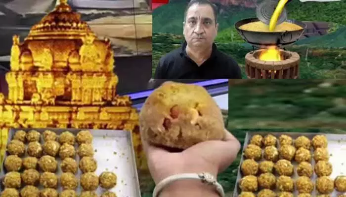 Breaking: శ్రీవారి లడ్డూ కల్తీ ఘటనలో షాకింగ్ విషయాలు Breaking: శ్రీవారి లడ్డూ కల్తీ ఘటనలో షాకింగ్ విషయాలు