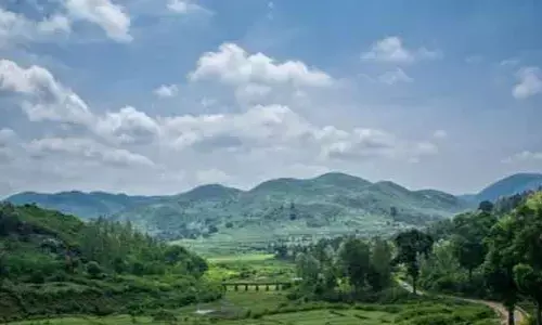AP | అల్లూరి జిల్లాలో వణుకు పుట్టిస్తోన్న చలి