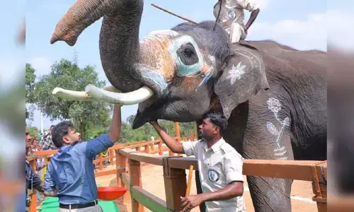 పవన్ కల్యాణ్‌కు కుంకీ ఏనుగుల సెల్యూట్
