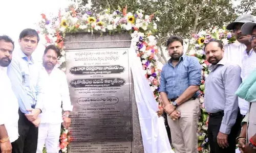 డిప్యూటీ CM పవన్ కల్యాణ్ పర్యటనలో అపశృతి