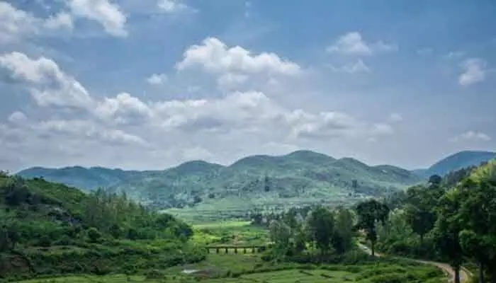 AP | అల్లూరి జిల్లాలో వణుకు పుట్టిస్తోన్న చలి AP | అల్లూరి జిల్లాలో వణుకు పుట్టిస్తోన్న చలి