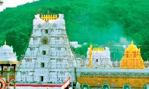 తిరుమల వెళ్లే భక్తులకు బిగ్ అలర్ట్.. 31 కంపార్ట్‌మెంట్లలో వేచివున్న భక్తులు