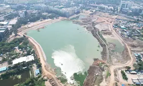 ముమ్మ‌రంగా త‌మ్మిడికుంట పున‌రుద్ధ‌ర‌ణ