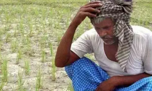 అన్నదాతకు పరిహారం అందేనా..?