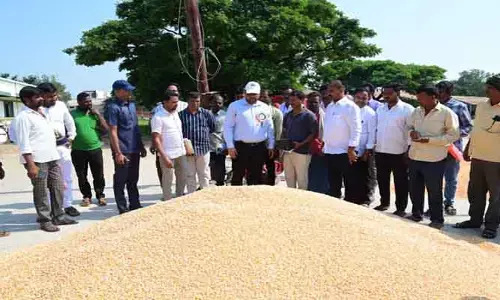 మార్కెట్ యార్డ్ ను ఆకస్మిక తనిఖీ చేసిన కలెక్టర్