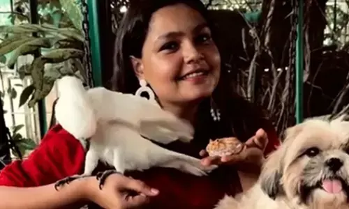 ఓ పరదేశీ.. విదేశీ పక్షుల ఐసీయూ.!