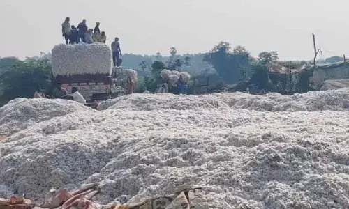 పత్తి కొనుగోళ్లు బంద్​