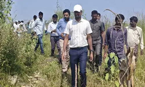 మండ‌లంలో క‌లెక్ట‌ర్ అక‌స్మిక ప‌ర్య‌ట‌న