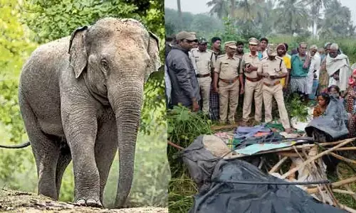 Chittoor: చిత్తూరు జిల్లాలో విషాదం.. ఏనుగుల దాడిలో రైతు మృతి