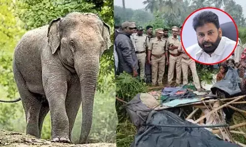 ఏనుగుల దాడిలో రైతు కిట్టయ్య మృతిపై స్పందించిన పవన్ కల్యాణ్‌
