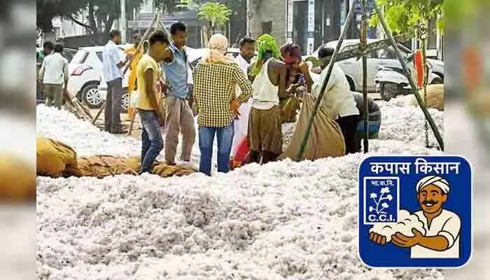 పత్తి రైతులపై CCI కుట్రలు.. కొనుగోళ్లపై రోజుకో కొత్త నిబంధనలు పత్తి రైతులపై CCI కుట్రలు.. కొనుగోళ్లపై రోజుకో కొత్త నిబంధనలు