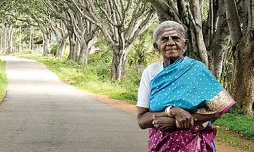 వృక్షమాత సాలుమరద తిమ్మక్క కన్నుమూత