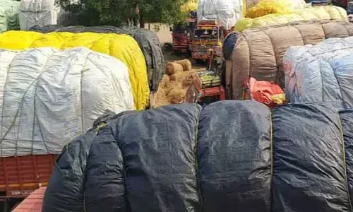 పట్టా ఉంటే పైసలే..!