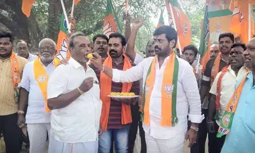 ఎన్నికల్లో బీజేపీ భారీ విజయం..  సంబరాలు