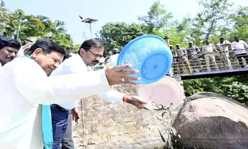 నాణ్యమైన చేప పిల్లలతో మత్స్య కార్మికులకు  మెరుగైన ఉపాధి :  ప్రభుత్వ సలహాదారు పి.సుదర్శన్ రెడ్డి