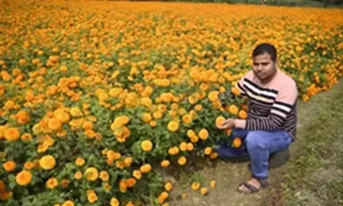 బంతిపూలతో.. కోట్లు పూయిస్తున్నాడు.!