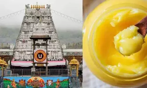 AP | నేడు చిన్న అప్పన్నను విచారించనున్న సిట్