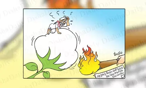 Disha Cartoon: పత్తి రైతులపై మరో పిడుగు