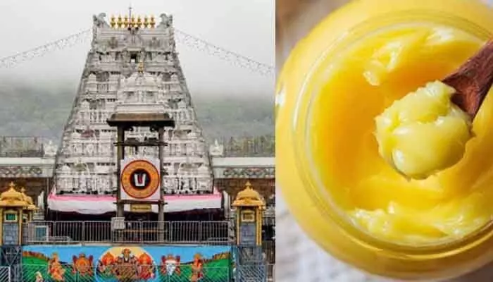 AP | నేడు చిన్న అప్పన్నను విచారించనున్న సిట్ AP | నేడు చిన్న అప్పన్నను విచారించనున్న సిట్